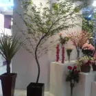 Imagem 1 da empresa SHOPPING DAS FLORES Vasos para Plantas em Curitiba PR