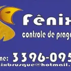 Imagem 1 da empresa FÊNIX CONTROLE DE PRAGAS LTDA. Limpeza E Conservação em Brusque SC