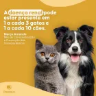 Imagem 2 da empresa CLÍNICA VETERINÁRIA E PETSHOP PEGASUS Pet Shop em Goiânia GO