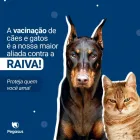 Imagem 3 da empresa CLÍNICA VETERINÁRIA E PETSHOP PEGASUS Pet Shop em Goiânia GO