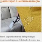 Imagem 7 da empresa LAVAGEM A SECO Tapetes E Passadeiras - Conserto E Limpeza em Porto Velho RO