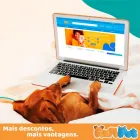 Imagem 1 da empresa RAPIPET PET SHOP - A MELHOR ASSINATURA PET DO BRASIL Pet Shop em Londrina PR