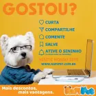 Imagem 2 da empresa RAPIPET PET SHOP - A MELHOR ASSINATURA PET DO BRASIL Pet Shop em Londrina PR