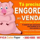Imagem 4 da empresa GRÁFICA COLOR PAPER Panfletos em Valparaíso De Goiás GO