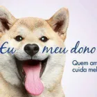 Imagem 6 da empresa RECANTO DOS ANIMAIS Pet Shop em Goiânia GO