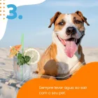 Imagem 2 da empresa ESALFLORES PET SHOP Pet Shop em Curitiba PR