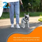 Imagem 3 da empresa ESALFLORES PET SHOP Pet Shop em Curitiba PR
