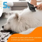 Imagem 5 da empresa ESALFLORES PET SHOP Pet Shop em Curitiba PR