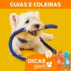 Imagem 6 da empresa ESALFLORES PET SHOP Pet Shop em Curitiba PR