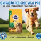 Imagem 3 da empresa COMERCIAL MUNDO ANIMAL - PET SHOP Venda De Raçoes em Belo Horizonte MG