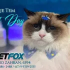 Imagem 1 da empresa PET FOX Pet Shop em Campo Grande MS