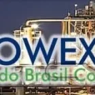 Imagem 3 da empresa FLOWEX DO BRASIL Walchem em Santo André SP