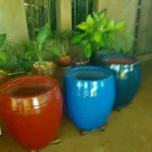 Imagem 6 da empresa MUDAS PONTAL VERDE Vasos para Plantas em Narandiba SP