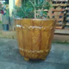 Imagem 4 da empresa MUDAS PONTAL VERDE Vasos para Plantas em Narandiba SP