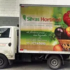 Imagem 2 da empresa GRUPO SILVAS Verduras E Legumes em São Paulo SP