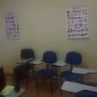 Imagem 6 da empresa CULTURA AMERICANA SCHOOL Escolas De Línguas em São José Dos Campos SP