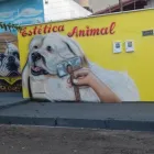 Imagem 1 da empresa CLÍNICA VETERINÁRIA BICHO SOLTO Pet Shop em Goiânia GO