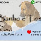 Imagem 2 da empresa CLÍNICA VETERINÁRIA BICHO SOLTO Pet Shop em Goiânia GO