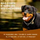Imagem 2 da empresa PETSHOP - SHOP AGRO E PET Pet Shop em Campo Grande MS