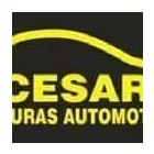 Imagem 3 da empresa CESAR PINTURAS AUTOMOTIVAS Automóveis - Chapeação E Pintura em Florianópolis SC