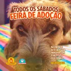 Imagem 4 da empresa REI DOS ANIMAIS PET SHOP E RAÇÕES Rações em Curitiba PR