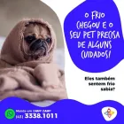 Imagem 3 da empresa EMPÓRIO DOS ANIMAIS EXÓTICOS Pet Shop em Londrina PR