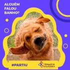 Imagem 4 da empresa EMPÓRIO DOS ANIMAIS EXÓTICOS Pet Shop em Londrina PR