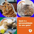 Imagem 6 da empresa EMPÓRIO DOS ANIMAIS EXÓTICOS Pet Shop em Londrina PR