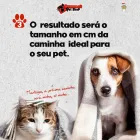 Imagem 3 da empresa BUMMER PET SHOP Pet Shop em Campo Grande MS