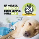 Imagem 1 da empresa CLÍNICA VETERINÁRIA HILST Pet Shop em Londrina PR