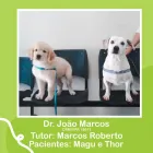 Imagem 3 da empresa CLÍNICA VETERINÁRIA HILST Pet Shop em Londrina PR