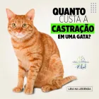 Imagem 4 da empresa CLÍNICA VETERINÁRIA HILST Pet Shop em Londrina PR