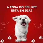 Imagem 1 da empresa CÃO & COMPANHIA Pet Shop em Goiânia GO