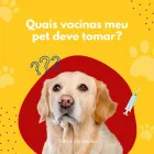 Imagem 3 da empresa CÃO & COMPANHIA Pet Shop em Goiânia GO