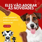 Imagem 4 da empresa CÃO & COMPANHIA Pet Shop em Goiânia GO