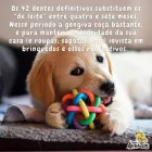 Imagem 5 da empresa LOJA DOS ANIMAIS Pet Shop em Goiânia GO