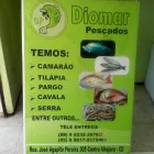 Imagem 1 da empresa DIOMAR PESCADOS Peixes e Pescados em Ubajara CE