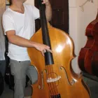 Imagem 5 da empresa ATELIER DE LUTERIA PAULO GOMES violoncelo em São Paulo SP