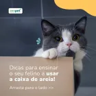 Imagem 1 da empresa ZENPET BRASIL Ração para Gatos em Curitiba PR