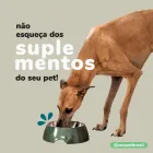 Imagem 3 da empresa ZENPET BRASIL Ração para Gatos em Curitiba PR