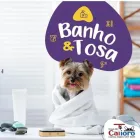 Imagem 1 da empresa CASA DO CATIORO PET SHOP E CONSULTÓRIO Pet Shop em Campo Grande MS