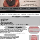 Imagem 4 da empresa INSTITUTO DE CRIMINALÍSTICA, PESQUISA E PERICIA PRIVADO-ICPP Peritode Video em Rio De Janeiro RJ