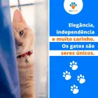 Imagem 1 da empresa PET HOME PET SHOP Pet Shop em Campo Grande MS