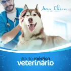 Imagem 1 da empresa SÃO CHICO ANIMAL CENTER Pet Shop em Curitiba PR