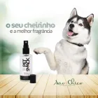 Imagem 5 da empresa SÃO CHICO ANIMAL CENTER Pet Shop em Curitiba PR