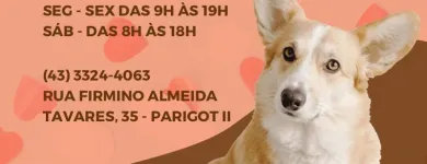 Imagem 1 da empresa OUROCÃO PET SHOP Pet Shop em Londrina PR