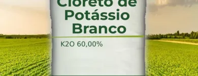 Imagem 15 da empresa BRASIL AGROQUÍMICA EXCELÊNCIA EM NUTRIÇÃO DE PLANTAS Agropecuária em Piraju SP