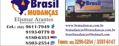 Imagem 3 da empresa BRASIL MUDANÇAS E TRANSPORTES Transporte De Veículos em Goiânia GO