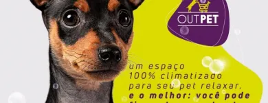 Imagem 4 da empresa OUTPET Pet Shop em Campo Grande MS