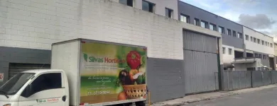Imagem 1 da empresa GRUPO SILVAS Verduras E Legumes em São Paulo SP